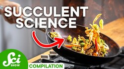 The Best Way to Cook Food, According to Science | SciShow Compilation Instructional Video