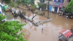 CLEAN : Flooded streets and downed trees after India's cyclone Nivar hits News Clip