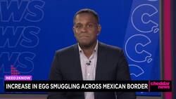 Egg Smuggling Being Reported by U.S. Border Officials News Clip