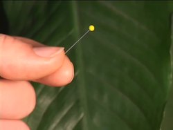 The Periodic Table: Inside the Atom Instructional Video