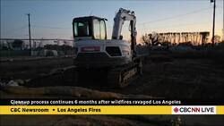Cleanup efforts continue 6 months after wildfires ravaged L.A. News Clip
