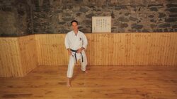 How to Do a Front Kick in Karate Instructional Video