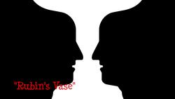 Science Kids: Eyes and Ears Instructional Video