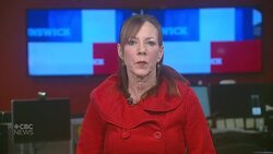 Here’s what one Saint John doctor thinks of ER report findings News Clip