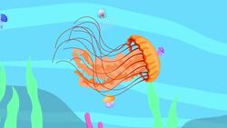 I WONDER - Where Do Invertebrates Live? Instructional Video