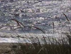 The Power of Perpetual Resources Instructional Video