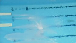 Zsombor-Murray adds to Canada's diving medal haul with bronze in Gatineau News Clip