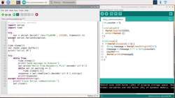 Raspberry Pi and Arduino - Go to The Next Level - Retry Connecting with Python if Failed Instructional Video