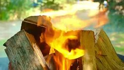 Large firewood burn for frying meat. Bonfire. Furnace Stock Footage