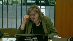 Winnipeg council committee votes not to hear from bike-lane proponents until July News Clip