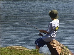 ¿Qué es un pez? Instructional Video