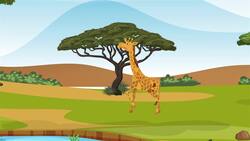 I WONDER - How Fast Can Giraffes Run? Instructional Video