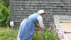 Acadia National Park - Soapwort Chore Video Instructional Video