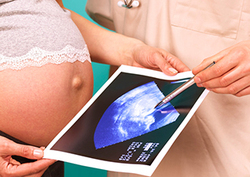 Factpack: Pregnancy Timeline Instructional Video