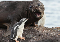 Weather vs. Climate Instructional Video