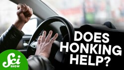 One Weird Reason People Suck at Parking Instructional Video