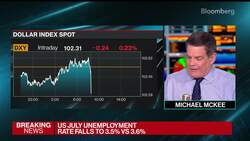 US Employment Rises at a More Moderate Pace in July News Clip