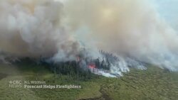 Newfoundland avoids ‘worst case scenario’ as wildfires continue News Clip