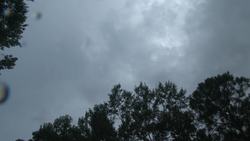 Sounds of Thunder Instructional Video