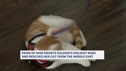 Paws of War saves cat to honor Air Force sergeant's holiday wish News Clip