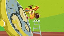 The DVD Instructional Video