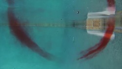 Fun with Vortex Rings in the Pool Instructional Video