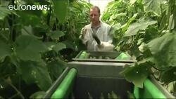 Spain’s exports boost helps trade deficit drop News Clip