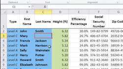How to Use the Clear Functions in Excel Instructional Video