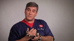 How to Pick a Substrate Instructional Video