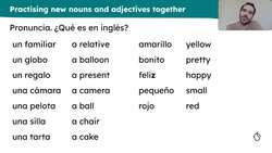 A party: intonation questions, nouns and adjectives Instructional Video