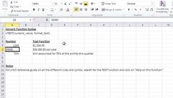What Is the Text Function in Excel? Instructional Video