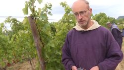 CLEAN : France: in the Ventoux, harvest in a cassock to get a fair wine News Clip
