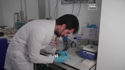Scientists in Italy develop edible battery made of almonds for use in ingestible medical devices News Clip