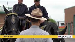 An RCMP officer from N.L. chauffeured King Charles and Queen Camilla by horse-drawn carriage News Clip