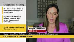 Omicron now dominant coronavirus variant in Ontario, science table says News Clip