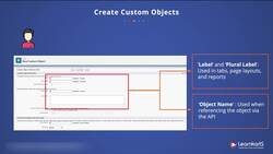 Salesforce Platform App Builder Certification Training - Creating Custom Objects Instructional Video