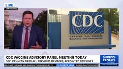 CDC vaccine panel meets after fired director alleges political pressure News Clip