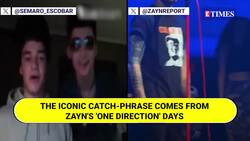 Zayn Malik Fans Get Deja Vu At London Concert With Unexpected 2-Word 'One Direction' Reference News Clip