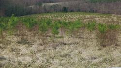 Cleaner Water and Nutrient Credits Instructional Video