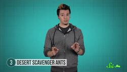 9 Animals That Will Outlive Us Instructional Video