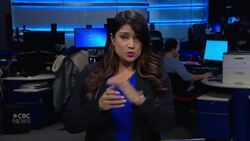 Wet'suwet'en chiefs, ministers reach proposed agreement News Clip