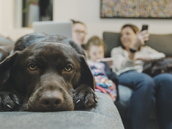 The Power of Encouragement Instructional Video