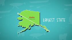 I WONDER - How Big Is Alaska? Instructional Video