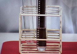 Enzyme Action: Trypsin Instructional Video