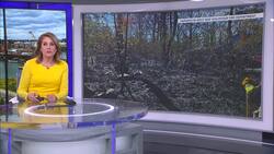 Officials: Torrington brush fire damages home News Clip