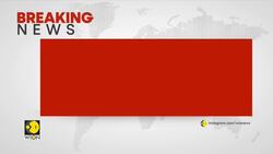 BREAKING | Munich Airport Temporarily Closes After Drone Sightings, Flights Disrupted | WION News Clip