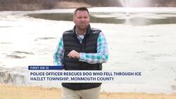 Dramatic save: Hazlet officer rescues dog from icy lake News Clip