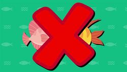 I WONDER - Do Fish Have Eyelids? Me Pregunto - Tienen Los Peces Párpados? Instructional Video