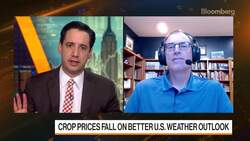 'China, China, China' Still The Big Story for Crops: Scott Irwin News Clip