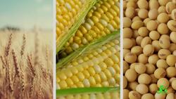 When Climate Change Threatens Climate Solutions | SciShow News Instructional Video